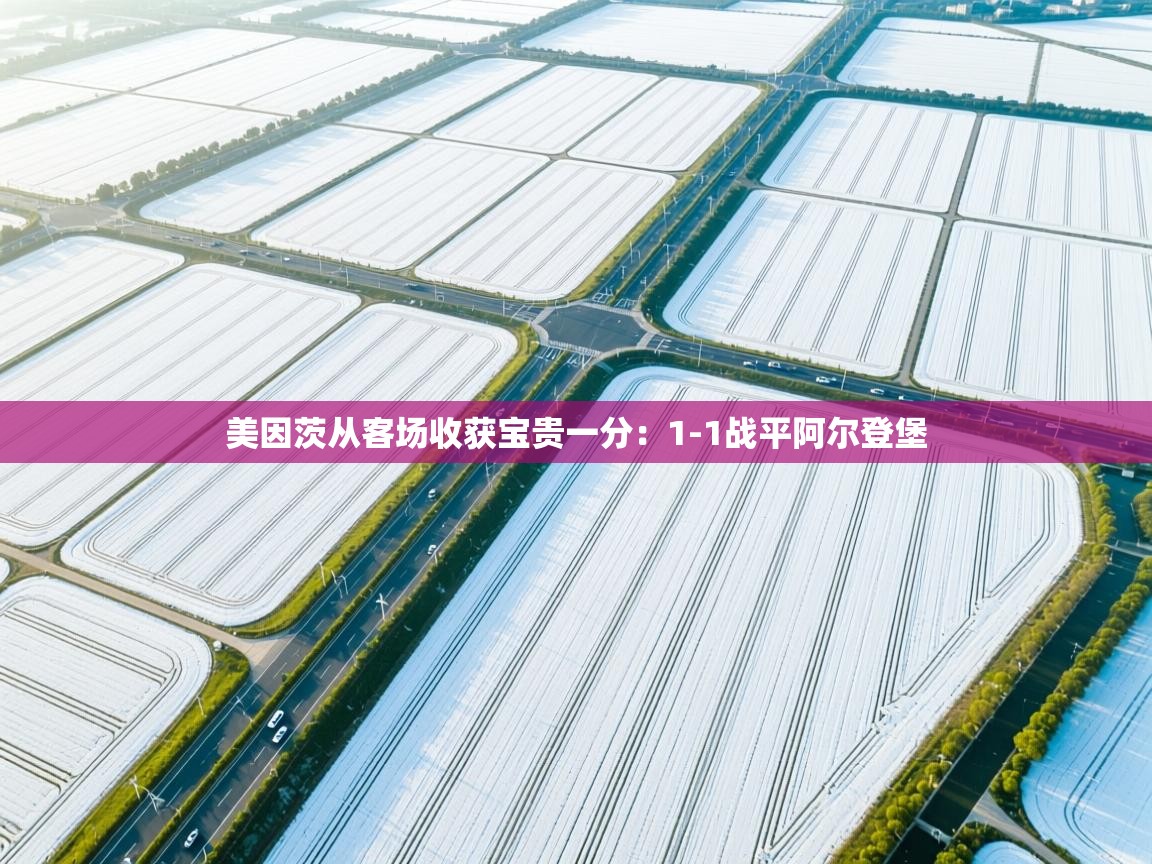 美因茨从客场收获宝贵一分：1-1战平阿尔登堡