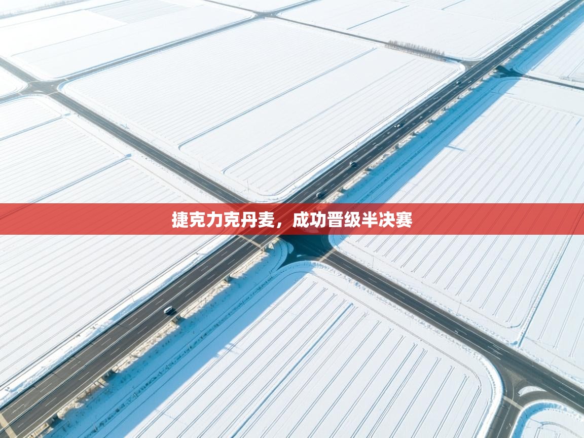 捷克力克丹麦,成功晋级半决赛 第2张