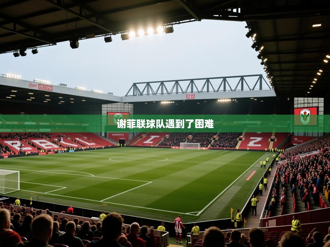 谢菲联球队遇到了困难