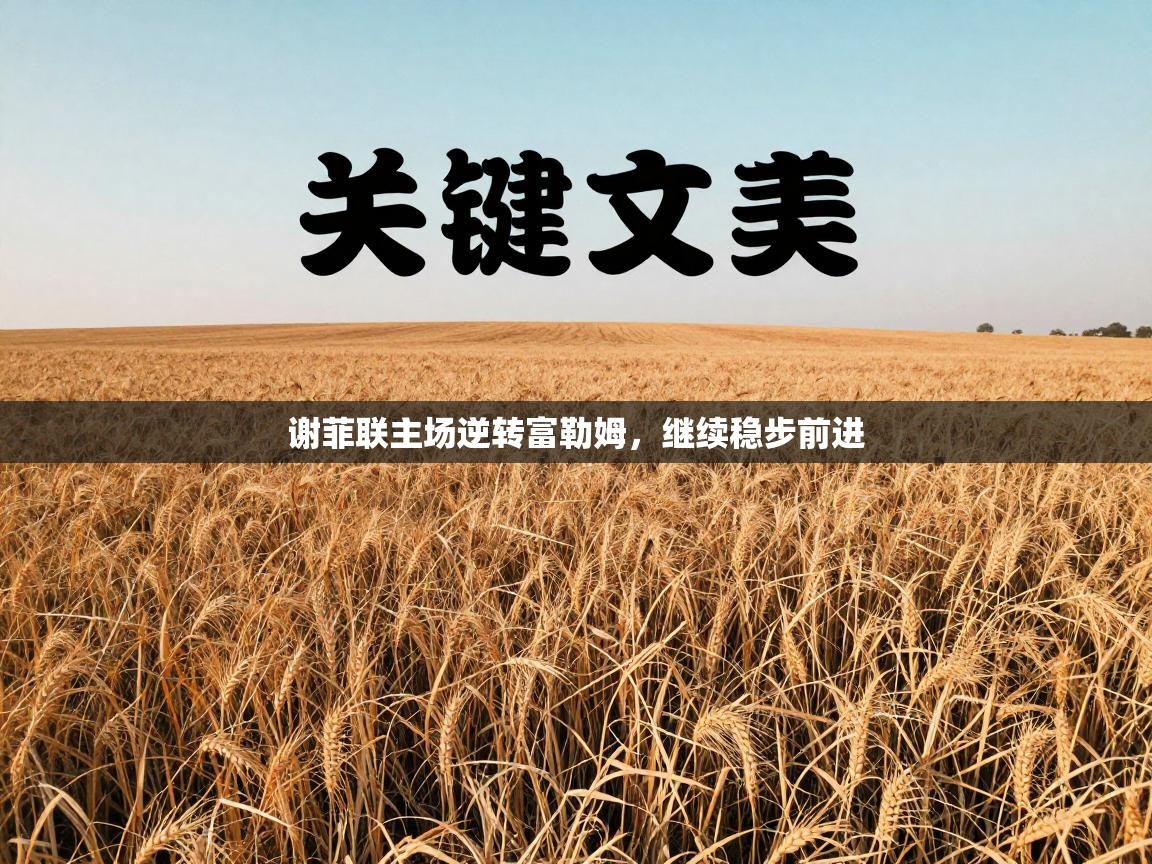 谢菲联主场逆转富勒姆,继续稳步前进 第2张