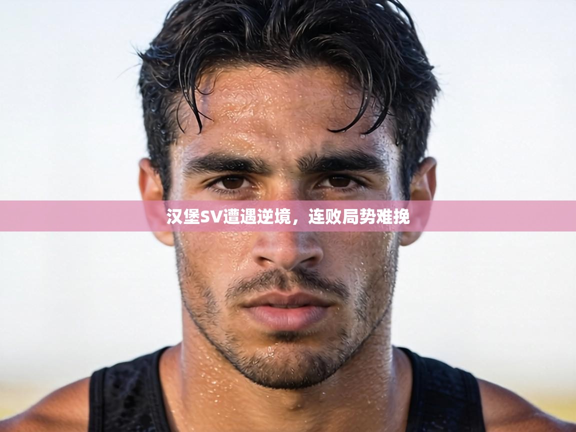 汉堡SV遭遇逆境，连败局势难挽  第2张