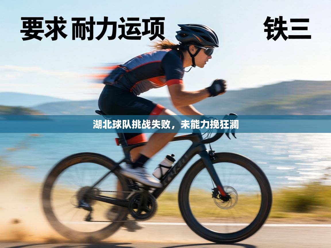 湖北球队挑战失败，未能力挽狂澜